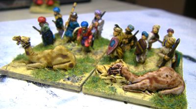 Warriors defending behind camels
