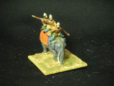Essex Elephant
