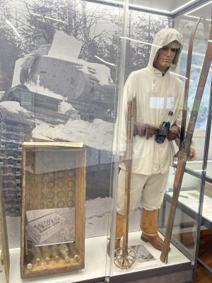 Winter War soldier with molotoc cocktails
