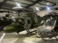 IMG_7275.JPEG